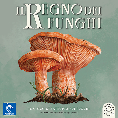 Il Regno dei Funghi