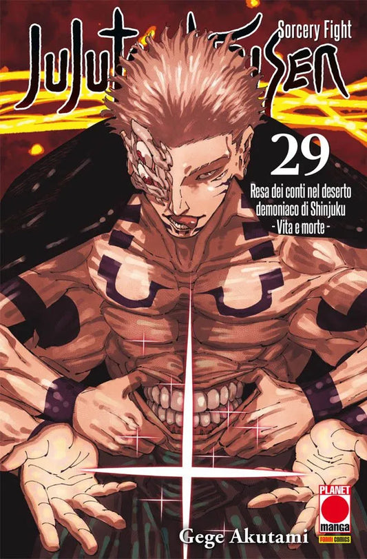 Jujutsu Kaisen 29