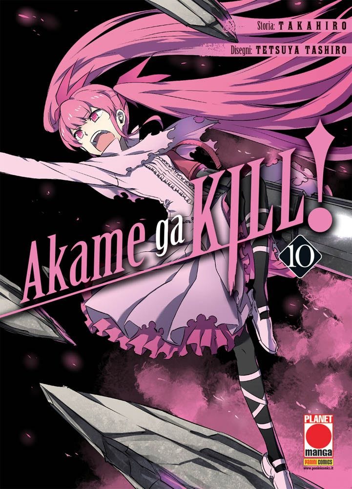 Akame Ga Kill 10