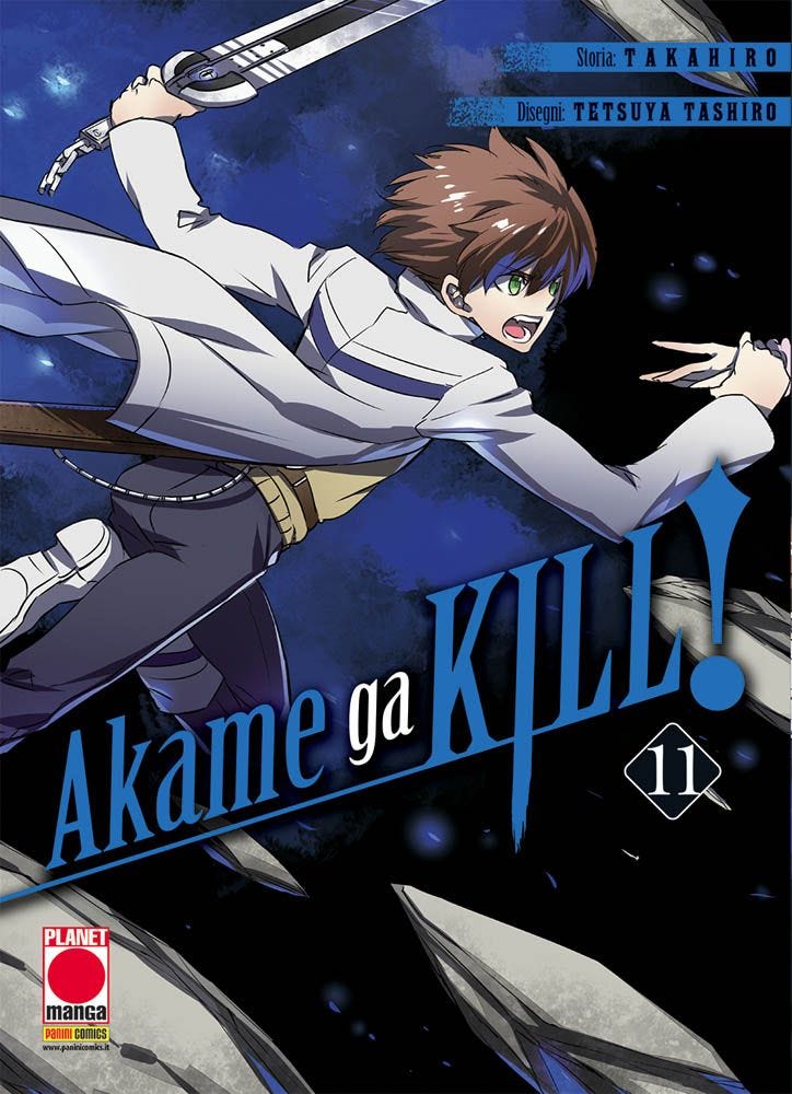 Akame Ga Kill 11