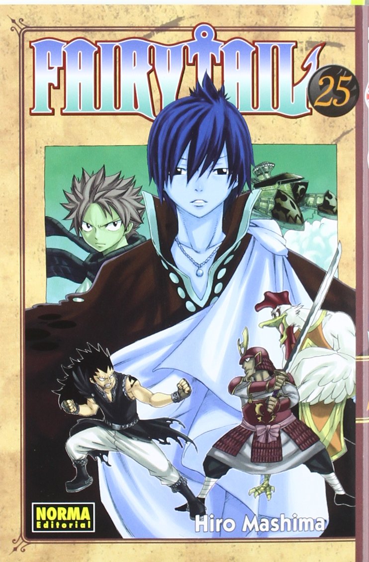 Fairy Tail 25