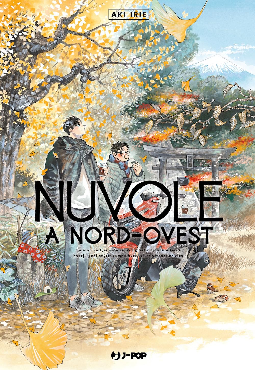 Nuvole a Nord-Ovest 07