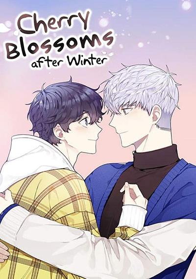 Cherry Blossoms after Winter 01