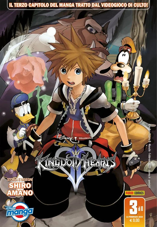 Kingdom Hearts II Silver 03