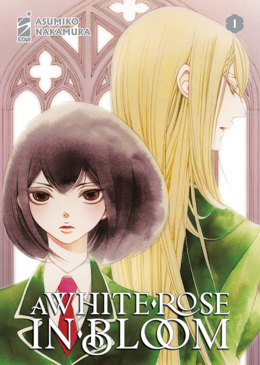 A White Rose in Bloom 01