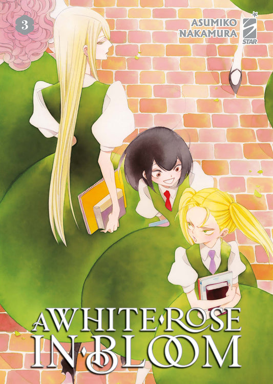 A White Rose in Bloom 03