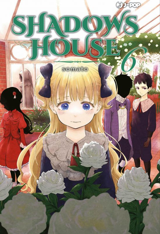 Shadows House 06