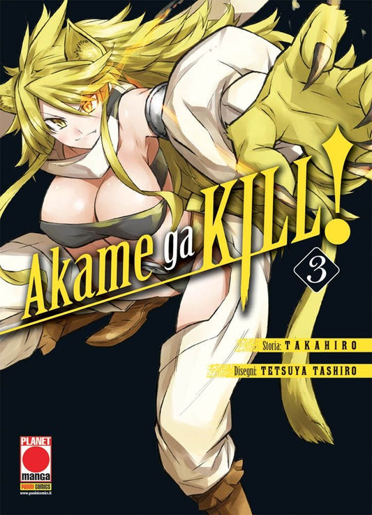 Akame Ga Kill 03