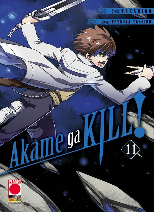 Akame Ga Kill 11