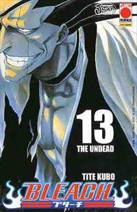 Bleach 13