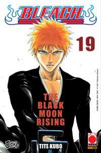 Bleach 19