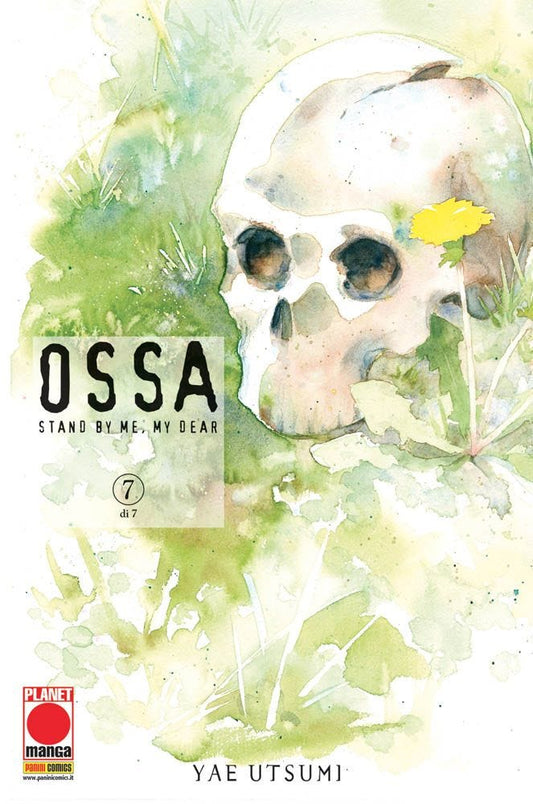 Ossa 07