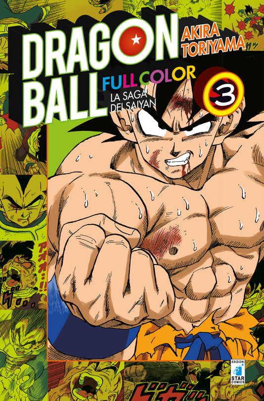 Dragon Ball Full Color 15