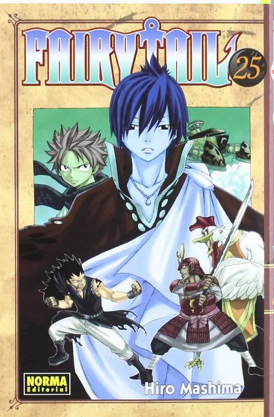 Fairy Tail 25