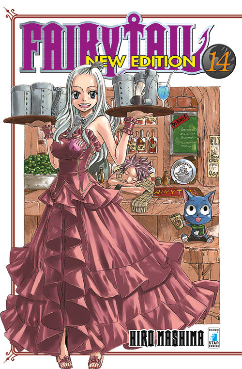 Fairy Tail New Edition 14