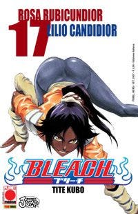 Bleach 17
